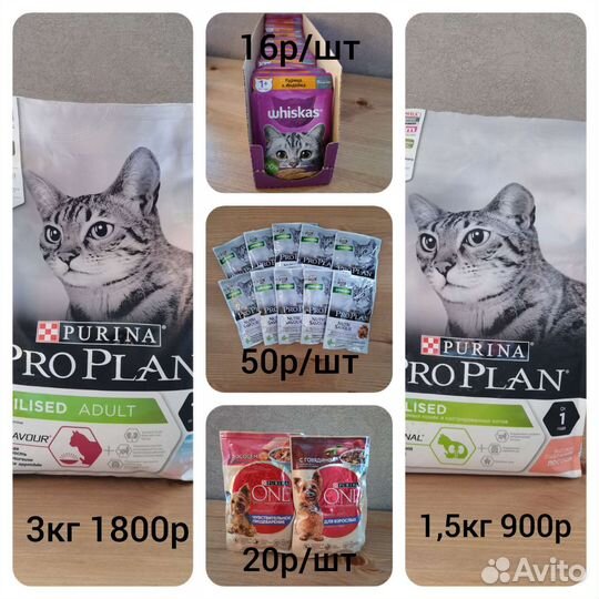Pro Plan, Wiskas, Kitecat, Chappi, Purina One