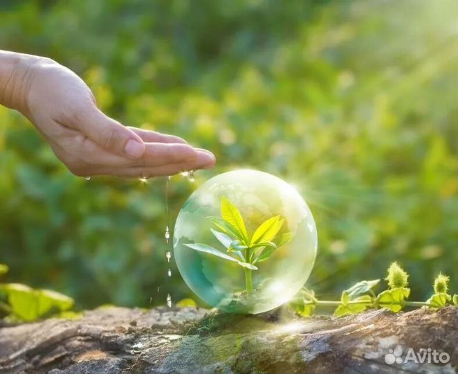 Средства защиты растений