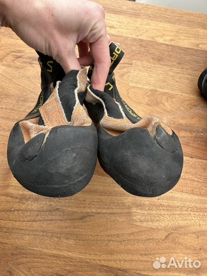 Скальные туфли scarpa la sportiva evolv