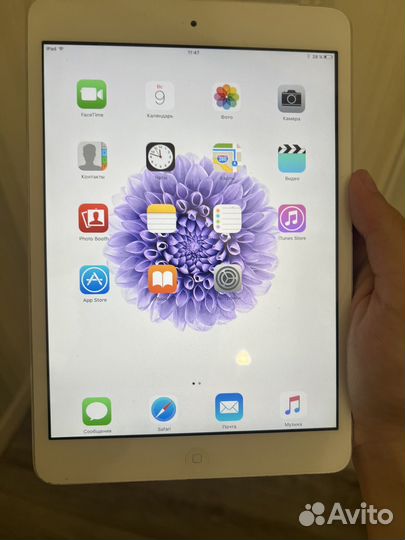 iPad mini 1