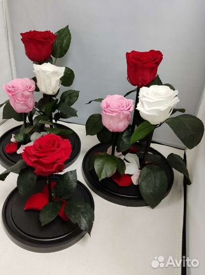 Роза в колбе оптом и в розницу