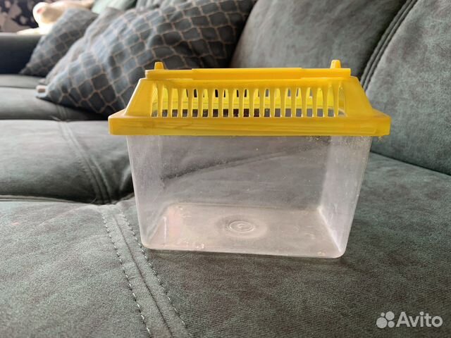 Аквариум для черепах бу