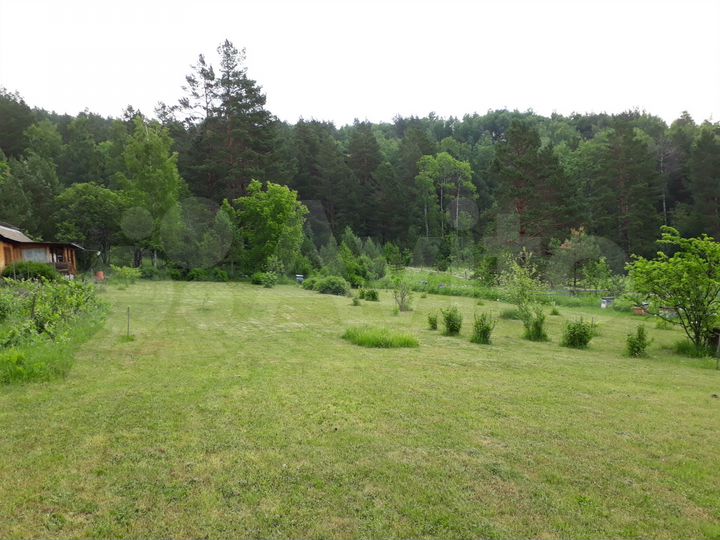 Участок 50 сот. (СНТ, ДНП)