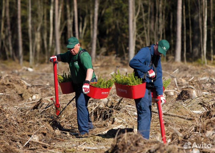 Разнорабочий вахта