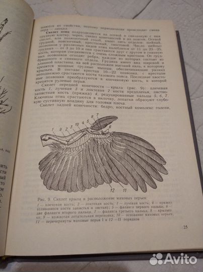 Учебная книга промыслового охотника. Книга 1