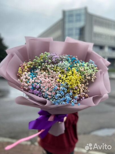 Радужная гипсофила