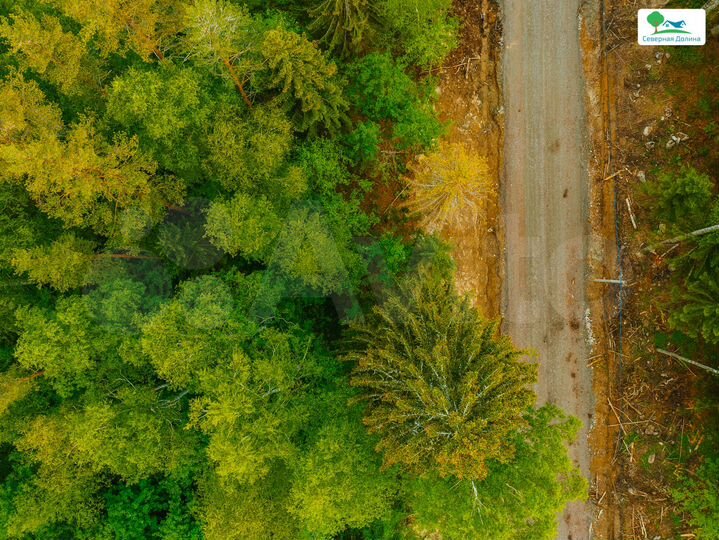 Участок 10 сот. (СНТ, ДНП)