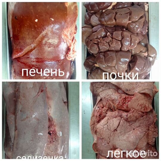 Лакомство для животных