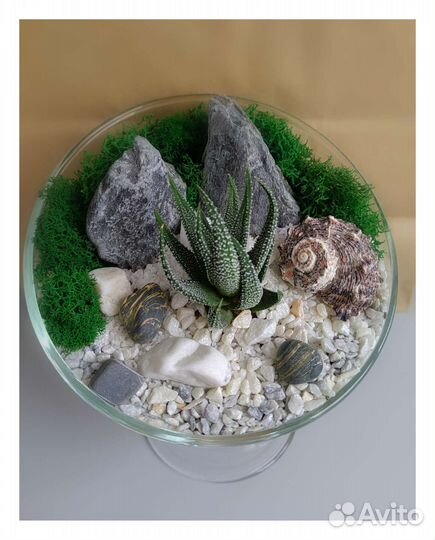 Флорариум открытый