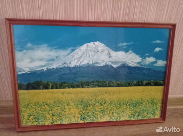 Фотокартины Камчатка