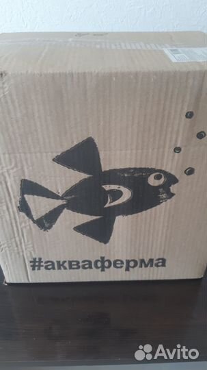 Набор для выращивания растений и ухода за рыбкой 