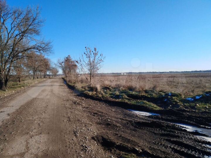 Участок 95 сот. (СНТ, ДНП)