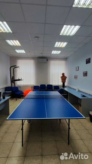 Теннисный стол Olympic