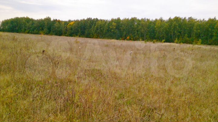 Участок 6 га (СНТ, ДНП)
