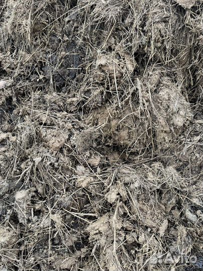 Навоз коровий, конский, перегной, компост