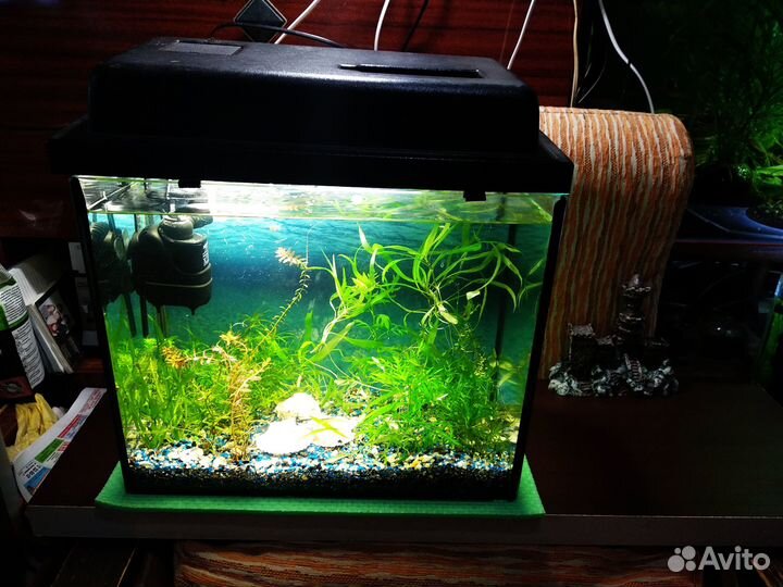 Компрессор, светильник