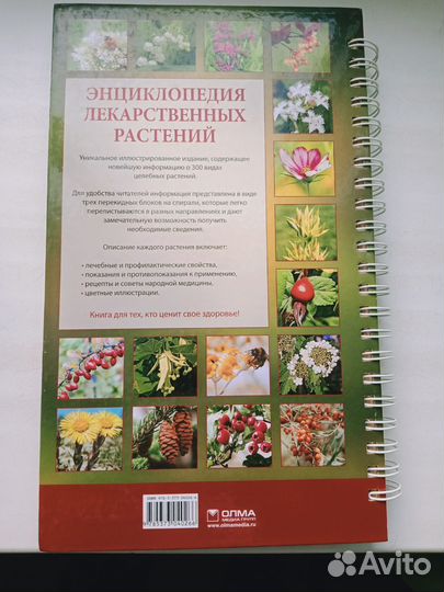 Энциклопедия лекарственных растений