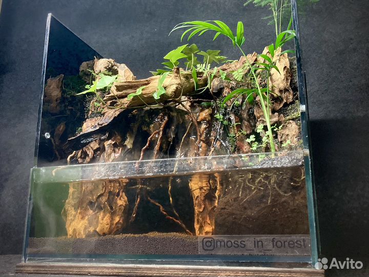 Изготовление флорариума, террариума на заказ