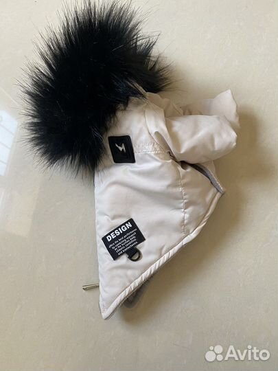 Одежда для собак