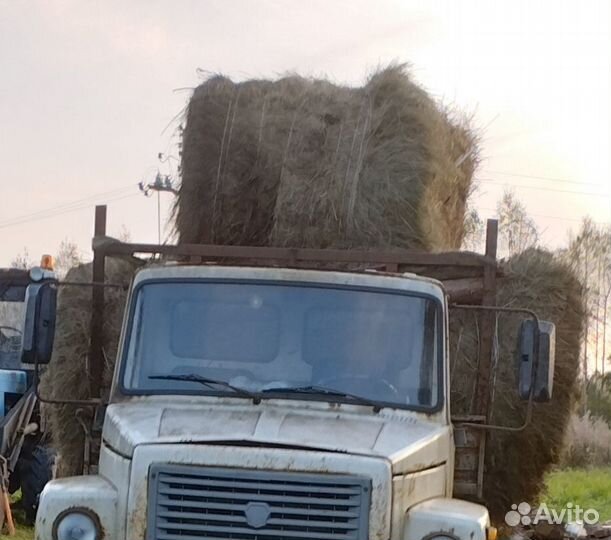 Сено солома 2023