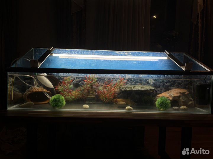 Аквариум