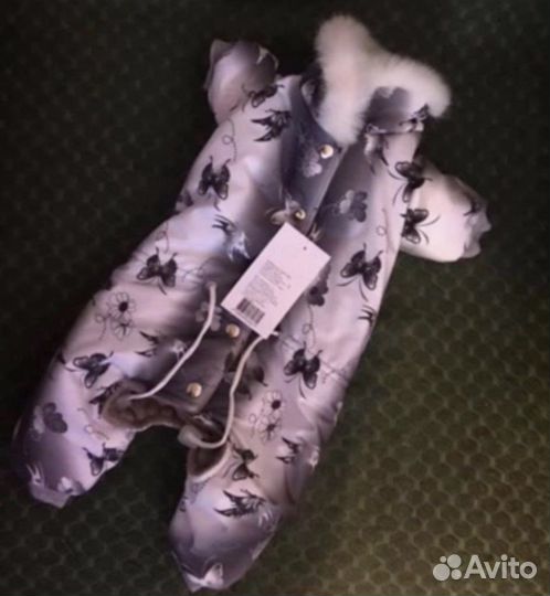 Одежда для собак