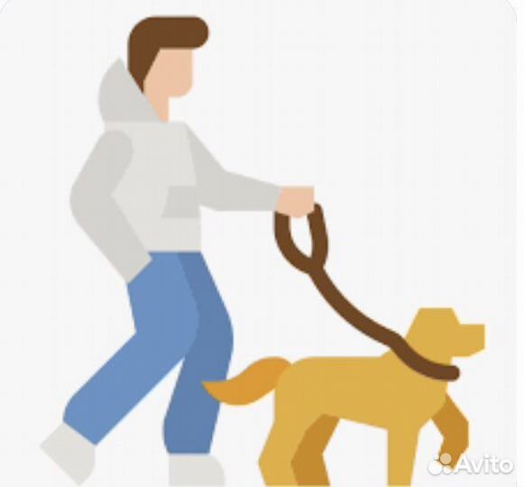 Выгул собак