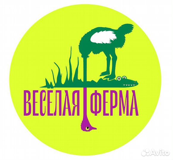 Работник фермы