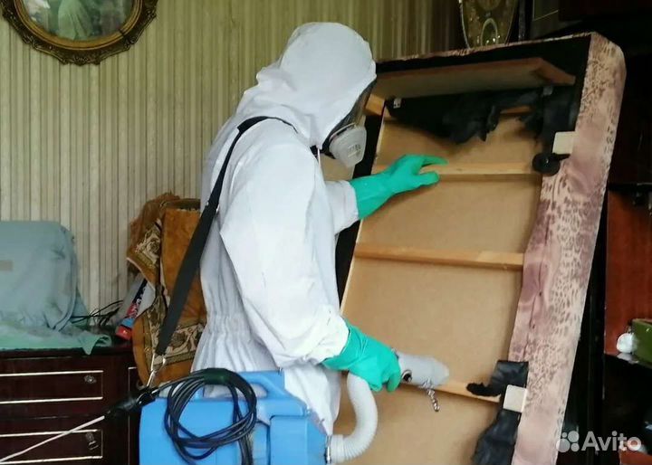 Дезинфекция от тараканов клопов