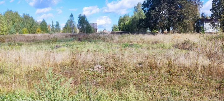 Лисьи ямки погода нижегородская область. Деревня ямки Нижегородская область