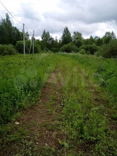 Участок 43 сот. (ИЖС)