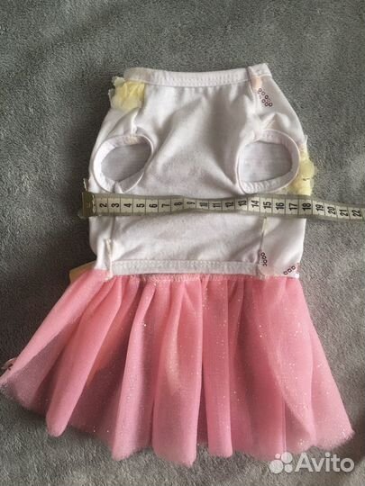 Майка, платье, рюкзачок для собачки новое