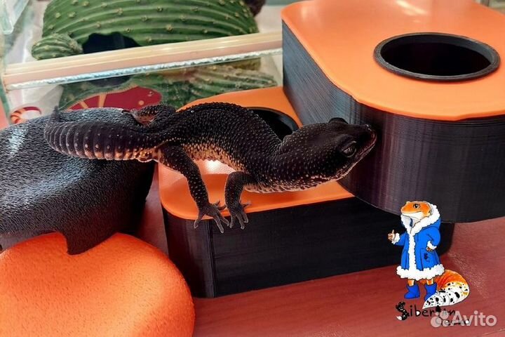 Укрытия, влажные камеры для рептилий