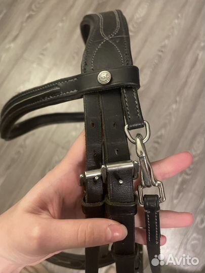 Уздечка,трензеля