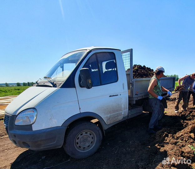 Навоз конский деревенский