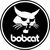 Услуги спецтехники. Аренда Bobcat. Вывоз мусора