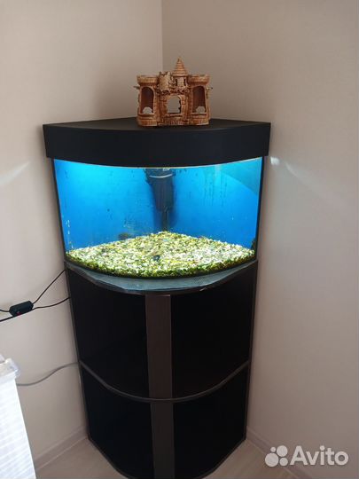 Аквариум