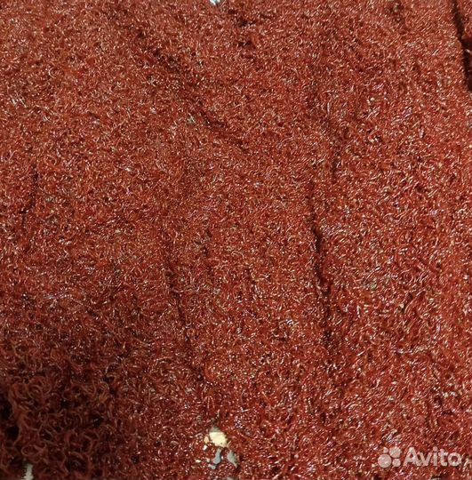 Мотыль живой. Корм для рыб. Заморозка