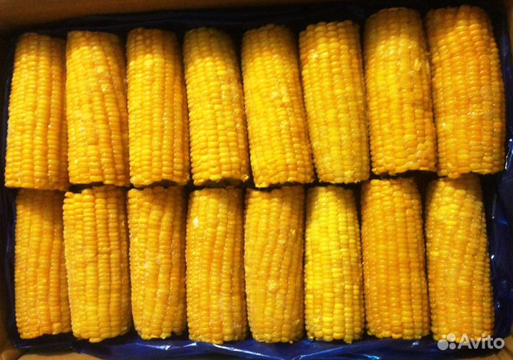 Кукуруза початок Индийская замороженная