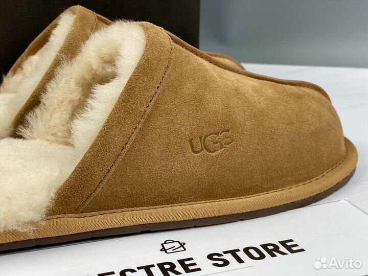 Тапочки мужские UGG