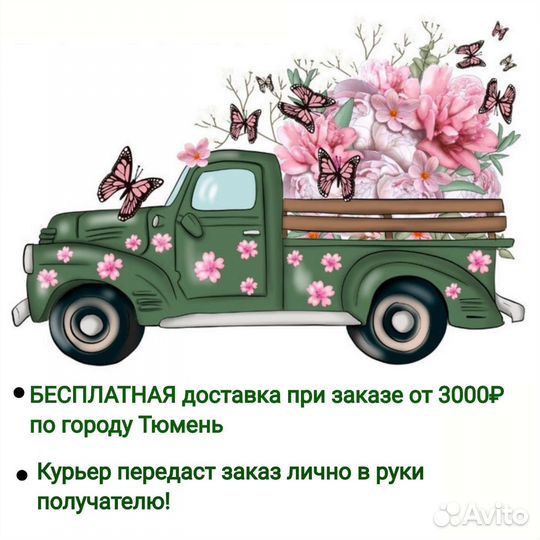 Спатифиллум Лаурета Комнатные растения