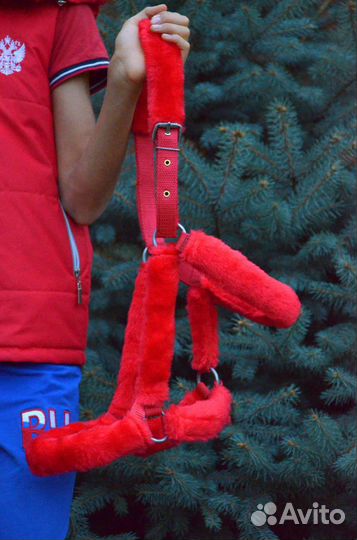 Недоуздок для лошади