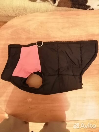 Одежда для средних собак