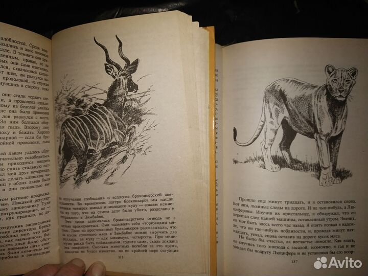 Книги Паттерсон