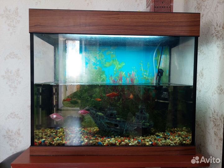 Аквариум 60л