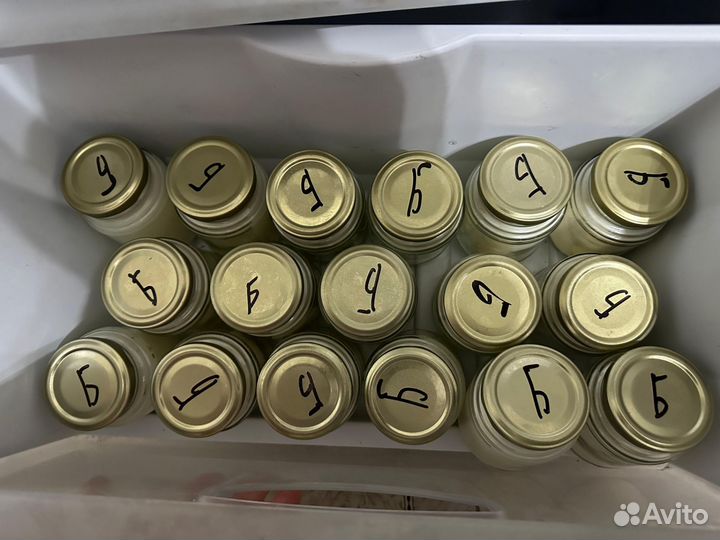 Барсучий жир