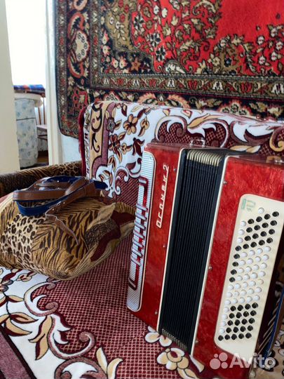 Баян Огонек 2