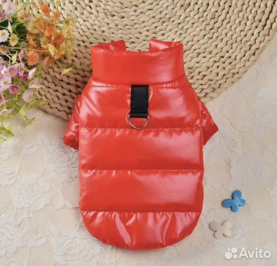 Комбинезон для собаки