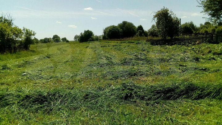 Участок 20 сот. (ИЖС)