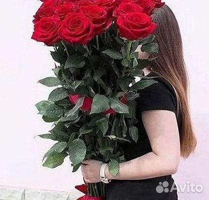 Высокие розы